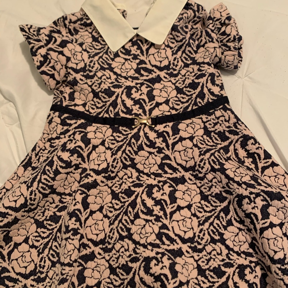 Janie and jack dress 2T